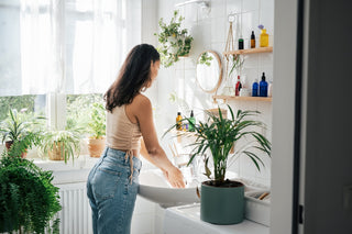 Best Bathroom Plants: What Thrives, What Rots, and Where to Put Them