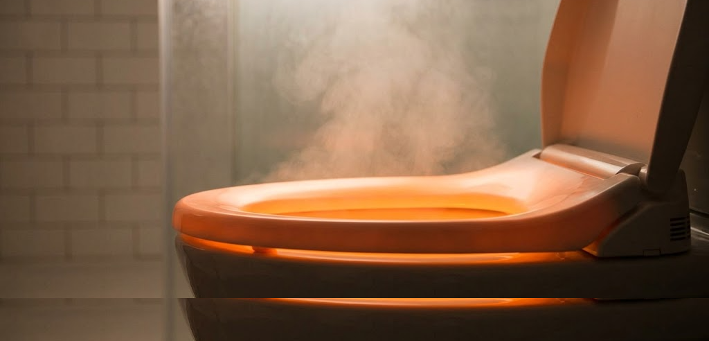Heated Toilet Seats: What to Know Before You Buy