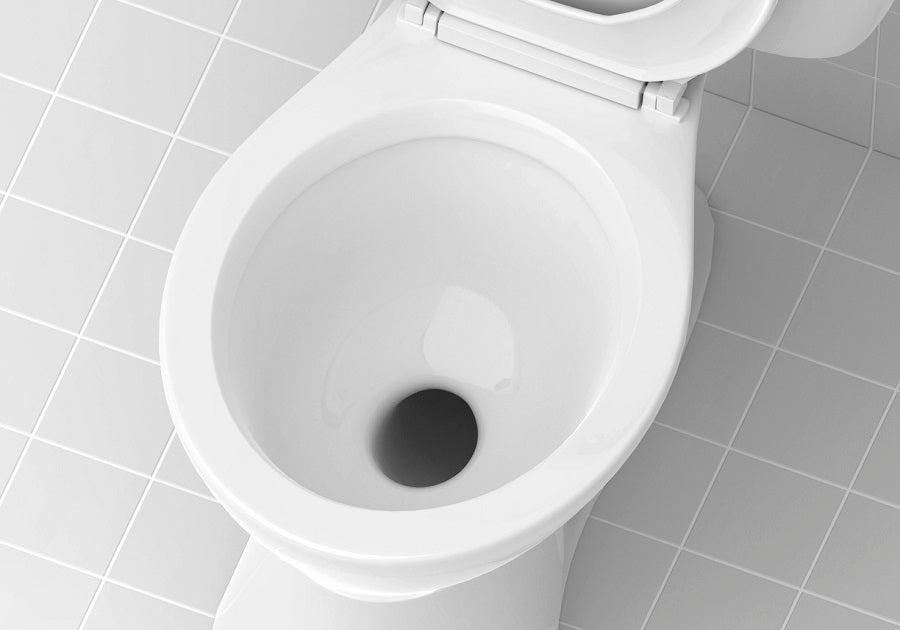 The Most Common Toilet Shapes and Differences 2024