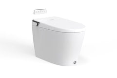 Smart Toilet - ST-01