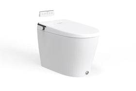 Smart Toilet - ST-01