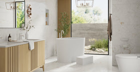Freestanding Bathtub BW-08-S