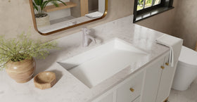 Undermount Ramp Sink UB-04-L