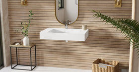 Wall Mounted Sink WT-04-D
