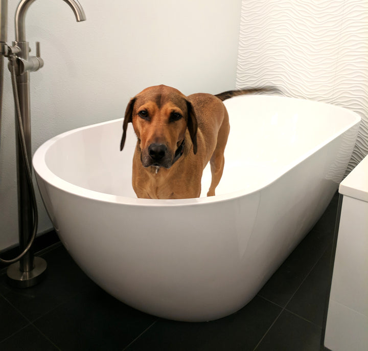 Badeloft customer photo for BW-02 bathtub, image 66